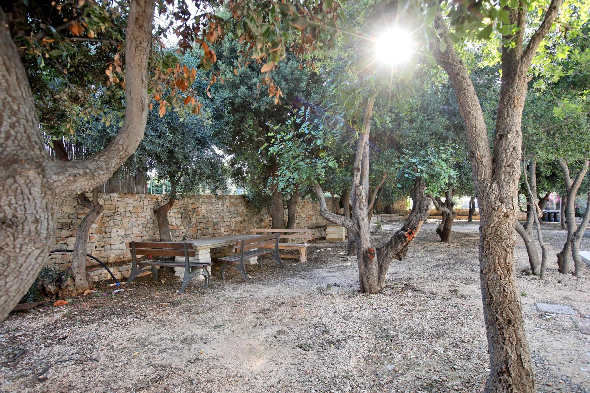 Mediterraneo Relax ポリニャーノ・ア・マーレ エクステリア 写真